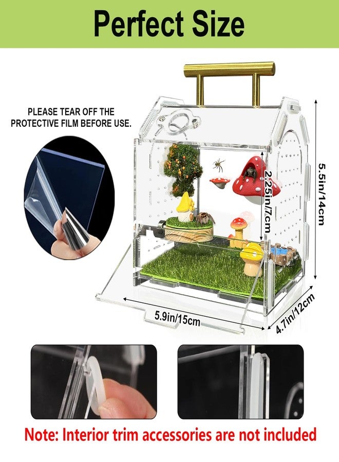 Julang Jumping Spider Enclosure, 5.9" X 4.7" X 5.5" Acrylic Spider Habitat, Front Opening Reptile Terrarium with Matrix Ventilation Holes & Feeding Holes, for Hermit Crab Tarantula Mantises Beetles - Image 2